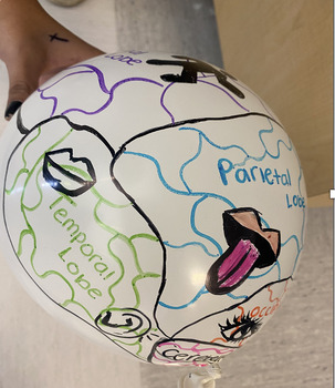 Preview of Ballon Brain Model Lab