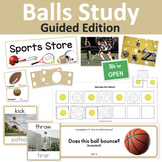 Balls Study - GUIDED EDITION (Creative Curriculum®)