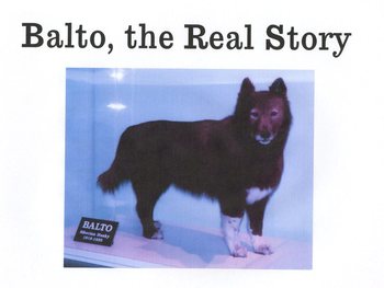 Preview of Balto, the Real Story