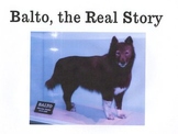 Balto, the Real Story