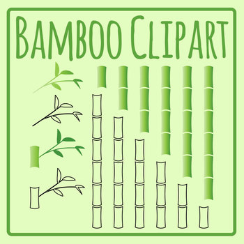 Fun and Easy DIY Bamboo Projects