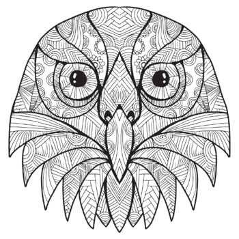Barking Owl Zentangle Coloring Page By Tankay Classroom Tpt
