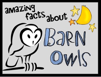 Preview of Barn Owls