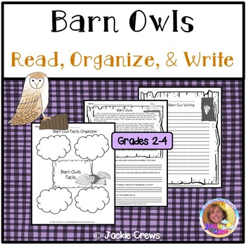 Preview of Barn Owls Reading Comprehension Main Idea with Easel Pages