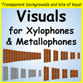 Xylophone and Metallophone Visuals