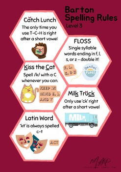 Barton Level 3 Spelling Rules Posters (Pink Palette) | TPT