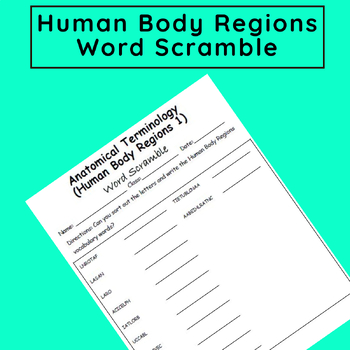 Preview of Basic Anatomical Terminology: Body Regions Word Scramble Puzzle 1