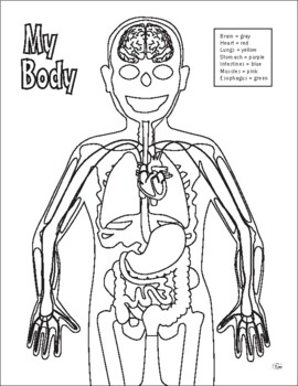 Basic Anatomy Coloring Page by Our Time to Learn | TpT