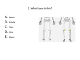 Basic Bones & Muscles Test