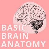 Basic Brain Anatomy | Intro to Brain Structure and Function