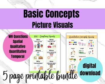 Preview of Basic Concepts Picture Visuals