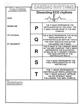 Preview of Basic ECG worksheet