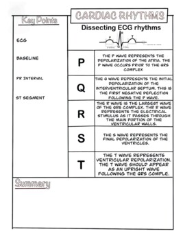 Basic ECG worksheet by Mindful MED-ucator | TPT