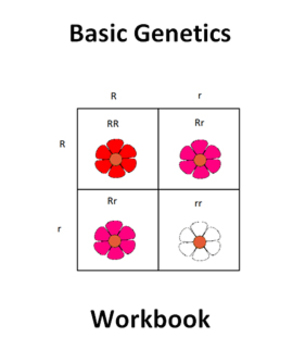 Preview of Basic Genetics - Intro Genetics Complete Workbook with Quiz