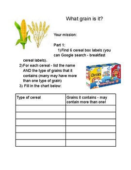Preview of Basic Grains and uses - Agriculture student worksheet