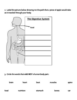 Basic Human Body Organs and Systems for Special Education Students