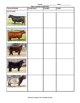 Preview of Basic Livestock Breeds Note Sheet