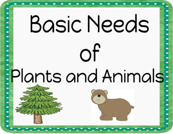 Basic Needs Of Animals Teaching Resources | TPT