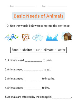 Basic Needs of Animals Activities - Taking Care of Animals Worksheet