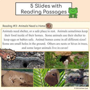 Basic Needs of Animals | Google Slides Activities by Brilliant Dust