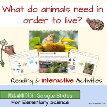Preview of Basic Needs of Animals | Google Slides Activities