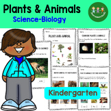 Basic Needs of Animals and Plants Kindergarten