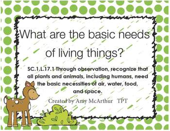 Basic Needs of Living Things SC.1.L.17.1 by Amy Krywko | TpT