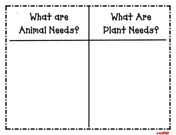 Basic Needs of Living Things Sort (Plants and Animals) | TpT describe water cycle with the help of diagram 