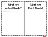Basic Needs of Living Things Sort (Plants and Animals)
