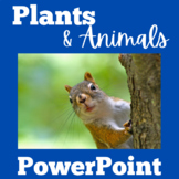 Plants and Animals | Needs PowerPoint Activity Kindergarte