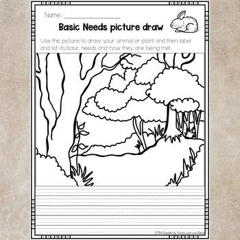 Basic Needs of living organisms Free Draw and vocabulary worksheet