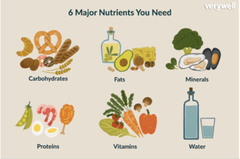 Preview of Basic Nutrition Unit and Meal Planning Assignment - Family Consumer Science