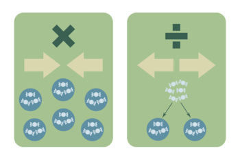 Preview of Basic Operations Poster: Multiplication and Division