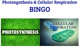 Basic Photosynthesis & Cellular Respiration BINGO Review