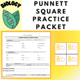 Basic Punnett Square PACKET- Includes Packet, Key and Teac