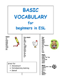 Basic Vocabulary for Beginners in ESL