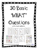 Basic WHAT Questions Packet