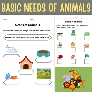 Basic human needs and basic needs of animals activities worksheet for