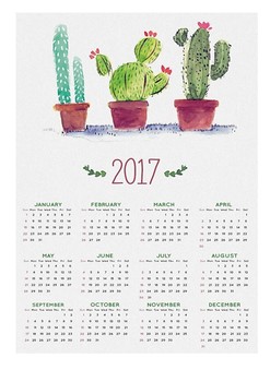 Preview of Basic planner 2017 ;)  Calendar 2017
