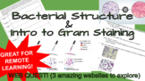 Basics of Bacterial Structure and Intro to Gram Staining WebQuest