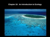 Basics of Ecology PowerPoint