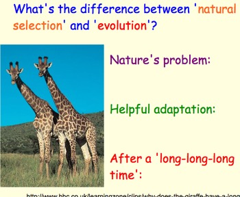 Preview of Basics of Evolution, Darwin - Lesson Presentations, Videos, Assignments, Article