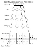 Bass Fingering Chart and Note Names