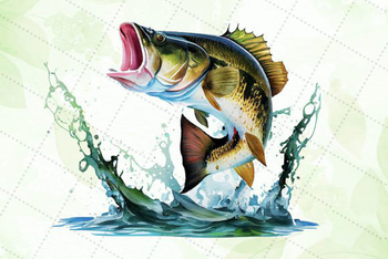 bass fish jumping clip art