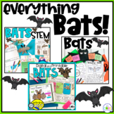 Bat Activities - All About Bats - Bat Life Cycle Worksheet