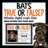 Bat Activity True or False Nonfiction Interactive Google Slides