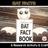Bat Craft and Bat Fact Research Project