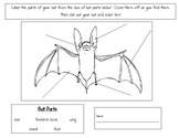 Bat Diagram to Label