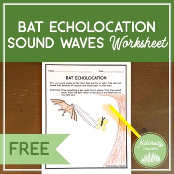 Preview of Bat Echolocation Sound Waves Worksheet (FREE)
