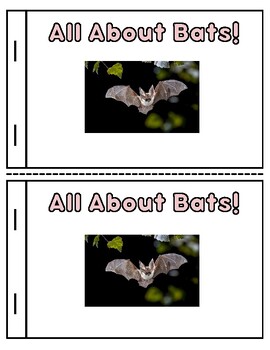 Preview of Bat Fact mini booklet